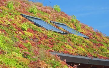 Trusthorpe living roof systems