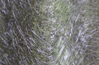 Trusthorpe fibreglass roof work